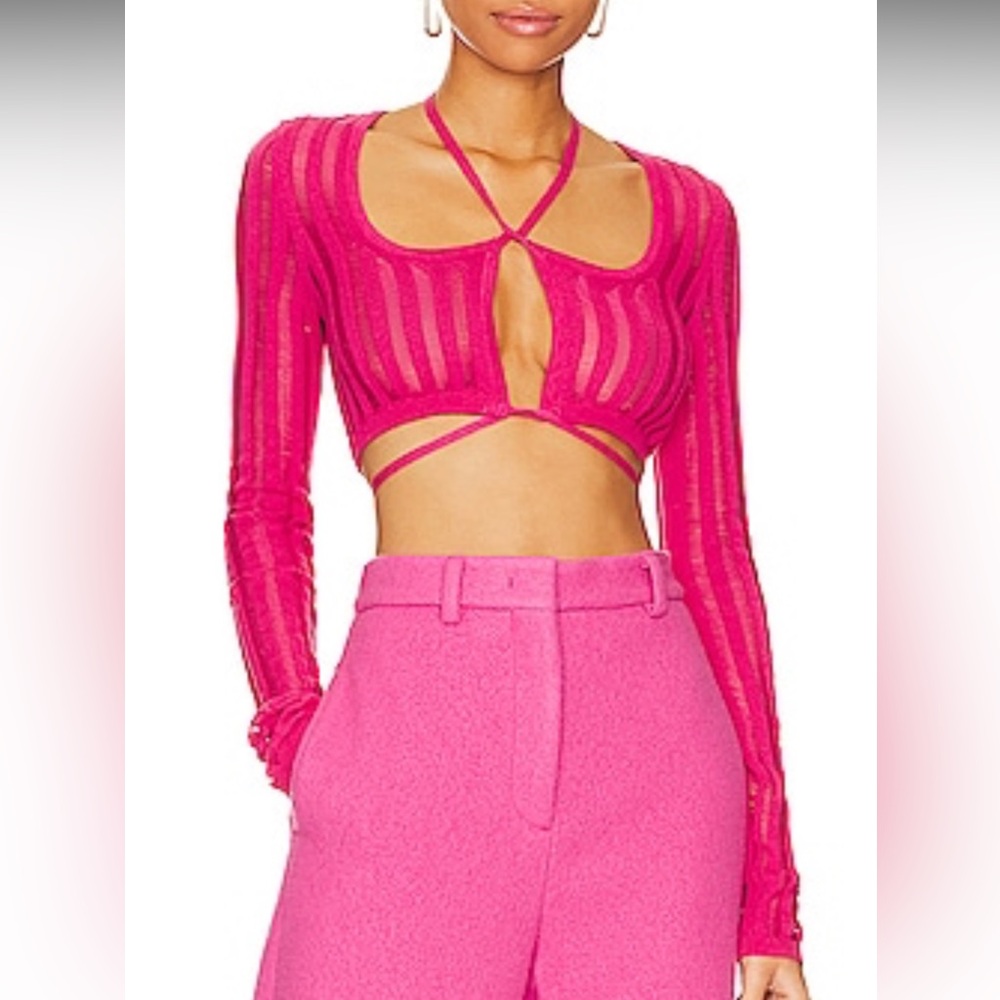 Sheer Rib Long Sleeve Micro Crop in Hot Pink - XXS